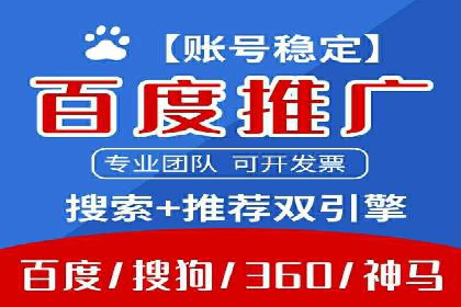 行业领先的SEM投放效果案例解析