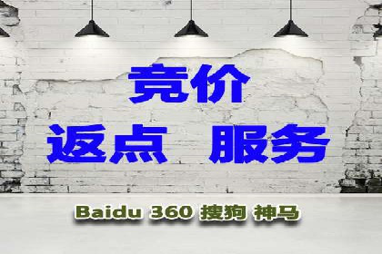 SEM托管服务案例：实现品牌价值最大化